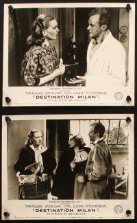 5d428 DESTINATION MILAN 8 English FOH LCs '54 Douglas Fairbanks Jr., Tommy Duggan, Greta Gynt!