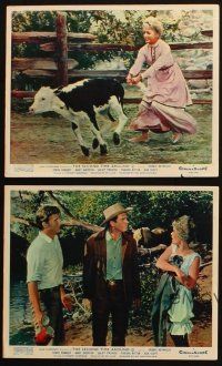 5d195 SECOND TIME AROUND 4 color English FOH LCs '61 Debbie Reynolds, Andy Griffith, Juliet Prowse