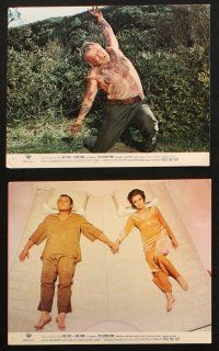 5d143 ILLUSTRATED MAN 6 8x10 mini LCs '69 Ray Bradbury, images of tattooed Rod Steiger!