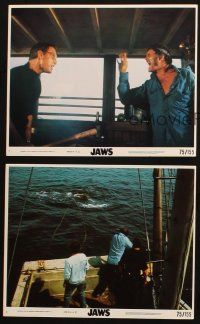 5d216 JAWS 3 8x10 mini LCs '75 Roy Scheider, Robert Shaw & Richard Dreyfuss, Gary, big shark!