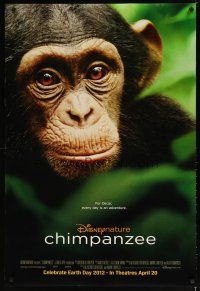 5f170 CHIMPANZEE advance DS 1sh 2012 great image of really cute ape!!