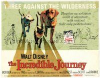 5j136 INCREDIBLE JOURNEY TC '63 Disney, Bull Terrier, Siamese cat & Labrador Retriever!