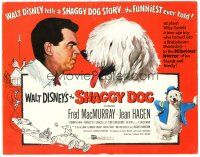 5j245 SHAGGY DOG TC '59 Disney, Fred MacMurray in the funniest sheep dog story ever told!