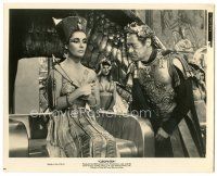 5k266 CLEOPATRA 8x10 still '64 c/u of sexy Elizabeth Taylor & Rex Harrison as Julius Caesar!