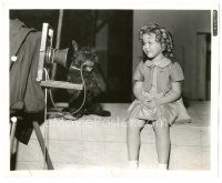 5k701 OUR LITTLE GIRL 8x10 key book still '35 Shirley Temple has her picture taken by Scotty dog!