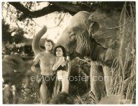 5k866 TARZAN & HIS MATE 7.25x9.5 still '34 Weissmuller & sexy Maureen O'Sullivan by elephant!