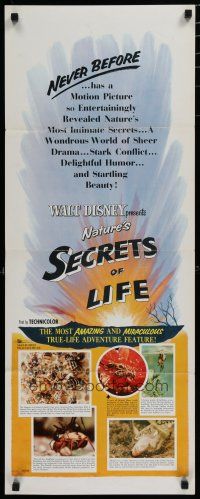 5m741 SECRETS OF LIFE insert '56 Disney's most amazing & miraculous True Life Adventure feature!