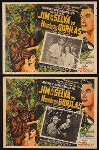 5s469 MARK OF THE GORILLA 2 Mexican LCs '51 jungle explorer Johnny Weissmuller, Trudy Marshall