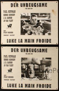 5s348 COOL HAND LUKE 12 Swiss LCs '67 Paul Newman prison escape classic, great scenes!