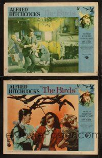 5t908 BIRDS 2 '63 Alfred Hitchcock, Rod Taylor, Tippi Hedren, Jessica Tandy, bird attack scenes!