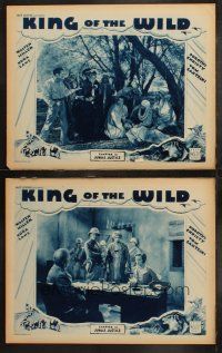 5t940 KING OF THE WILD 2 chapter 12 LCs '31 Walter Miller, Nora Lane, Jungle Justice!