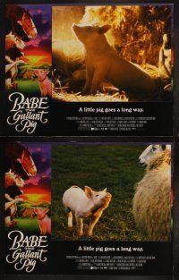 5t062 BABE 8 LCs '95 James Cromwell, classic talking pig comedy, the gallant pig!