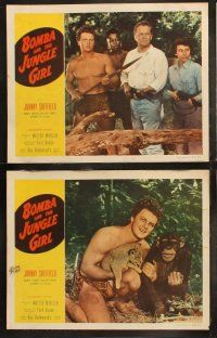 5t088 BOMBA & THE JUNGLE GIRL 8 LCs '53 cool images of Johnny Sheffield & sexy Karen Sharpe!