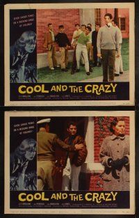 5t146 COOL & THE CRAZY 8 LCs '58 savage punks on binge of violence, Dick Bakalyan, classic '50s!