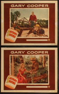 5t184 DISTANT DRUMS 8 LCs R56 cool images of Gary Cooper in the Florida Everglades!