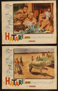 5t268 HATARI 8 LCs '62 Howard Hawks, cool images of John Wayne on safari in Africa!