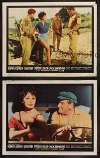 5t807 JUDITH 4 LCs '66 Daniel Mann directed, sexiest Sophia Loren & Peter Finch in WWII!