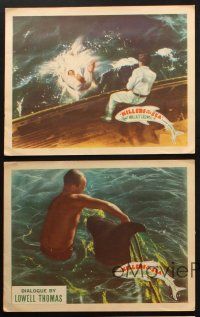 5t755 KILLERS OF THE SEA 5 LCs '37 images of man fighting sharks, rescuing dolphin, & w/ sawfish!