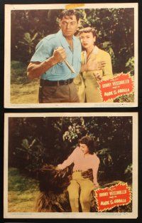 5t724 MARK OF THE GORILLA 6 LCs '51 jungle explorer Johnny Weissmuller, Trudy Marshall