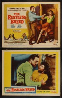 5t471 RESTLESS BREED 8 LCs '57 cool images of cowboy Scott Brady & sexy young Anne Bancroft!
