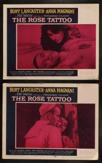 5t687 ROSE TATTOO 7 LCs '55 Burt Lancaster, Anna Magnani, written by Tennessee Williams!