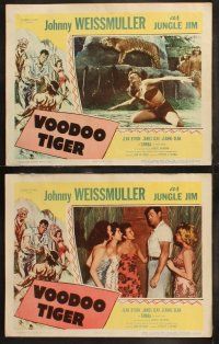 5t617 VOODOO TIGER 8 LCs '52 Johnny Weissmuller as Jungle Jim & sexy Jeanne Dean!