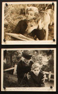 5w416 DOG OF FLANDERS 8 8x10 stills '35 Frankie Thomas and his German shepherd Lightning!