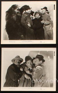 5w767 GORILLA 4 8x10 stills R49 The Ritz Brothers and cool wacky ape images!