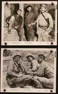 5w842 HALLS OF MONTEZUMA 3 8x10 stills '51 Richard Widmark, Reginald Gardiner, one with Karl Malden