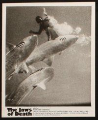 5w771 JAWS OF DEATH 4 8x10 stills '76 great images of scuba divers, tiger sharks, Jaeckel fighting