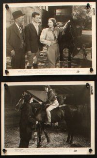 5w436 KENTUCKY 8 8x10 stills '38 Richard Green, pretty Loretta Young & Walter Brennan!