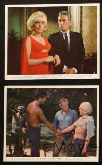 5w087 LEGEND OF LYLAH CLARE 5 color 8x10 stills '68 cool images of sexiest Kim Novak & Peter Finch!