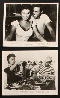 5w396 SCANDAL IN SORRENTO 9 8x10 stills '57 Sophia Loren is the world's most curvacious covergirl!