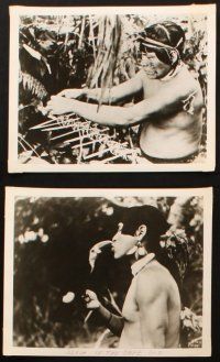 5w465 SLASH OF THE KNIFE GOD 8 8x10 stills '55 wild native images with toucan and huge snake!