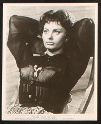 5w263 SOPHIA LOREN 18 8x10 stills '50s-60s portraits of the Italian star in a variety of roles!