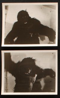5w337 TEENAGE ZOMBIES 12 8x10 stills '59 experiment performed with sadistic horror, wacky ape!