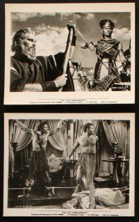 5w610 TEN COMMANDMENTS 6 8x10 stills '56 Cecil B. DeMille classic. Charlton Heston & Yul Brynner!