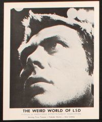5w736 WEIRD WORLD OF LSD 5 8x10 stills '67 sexy half-naked girl on bed, and wacky drug images!