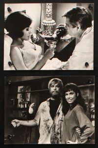 5w364 WHAT'S SO BAD ABOUT FEELING GOOD 10 Dutch 7.25x9.5 stills '68 Dom DeLuise & Mary Tyler Moore!