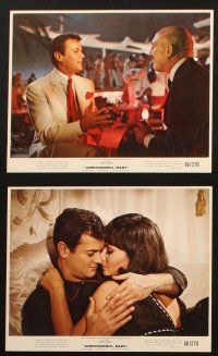 5w047 ARRIVEDERCI, BABY 7 color 8x10 stills '66 Tony Curtis is a lady-killer, Rosanna Schiaffino!