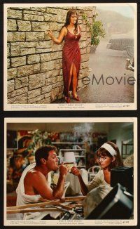 5w132 DON'T MAKE WAVES 3 color 8x10 stills '67 super sexy Claudia Cardinale w/ Tony Curtis!