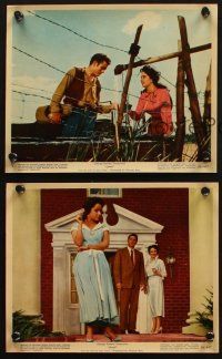 5w136 GIANT 3 color 8x10 stills '56 pretty Elizabeth Taylor, w/ Rock Hudson and James Dean!