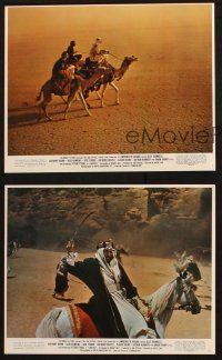 5w141 LAWRENCE OF ARABIA 3 color 8x10 stills R71 David Lean classic starring Peter O'Toole!
