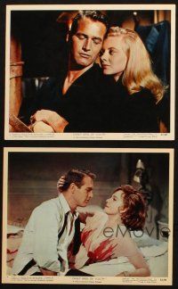 5w120 SWEET BIRD OF YOUTH 4 color 8x10 stills '62 Paul Newman, Geraldine Page, Shirley Knight!