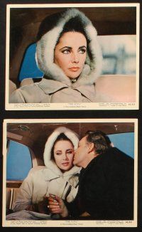 5w045 V.I.P.S 8 color 8x10 stills '63 sexy Elizabeth Taylor & Richard Burton, Jourdan, Taylor!
