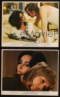 5w161 X Y & ZEE 3 color 8x10 stills '71 Elizabeth Taylor, Michael Caine, Susannah York, Zee & Co.