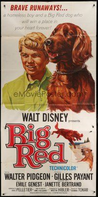 6a429 BIG RED 3sh '62 Disney, Walter Pigeon, great portrait artwork of boy & Irish Setter dog!
