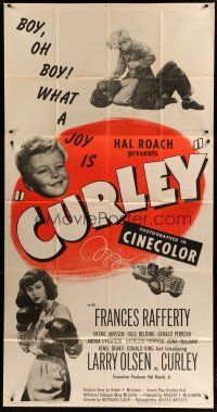 6a450 CURLEY 3sh '48 Hal Roach Jr., cute Larry Olsen in the title role, female boxing!