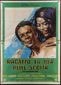 6a099 LEARNING TREE Italian 2p '70 cool different Manfredo Acerbo art, directed by Gordon Parks!