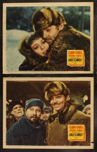 6b863 CALL OF THE WILD 2 LCs R43 Clark Gable, Loretta Young & Jack Oakie in Jack London story